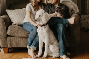 young couple sitting on couch with pets